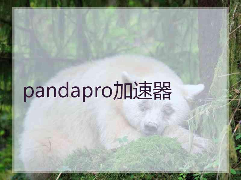 pandapro加速器