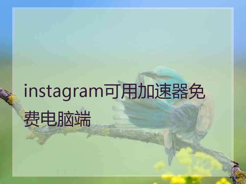 instagram可用加速器免费电脑端