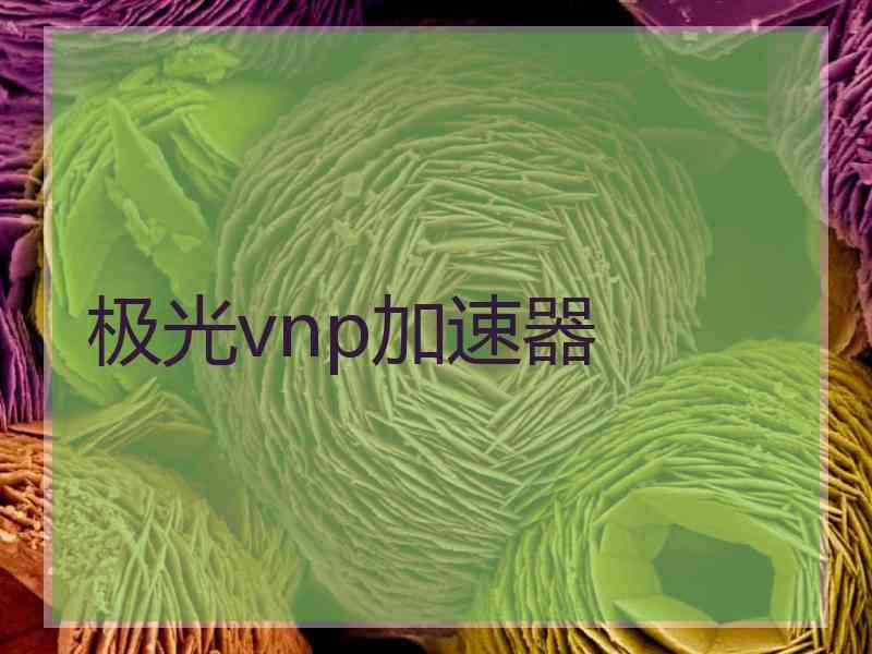 极光vnp加速器