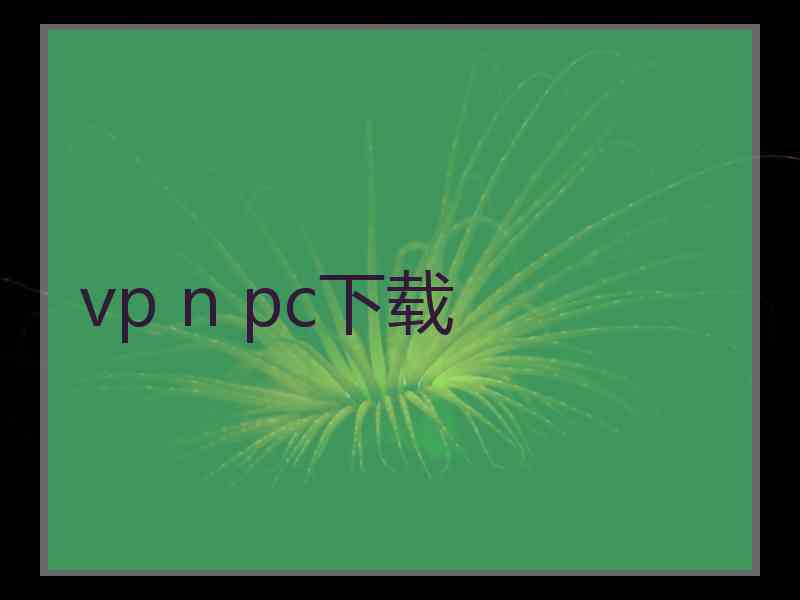 vp n pc下载