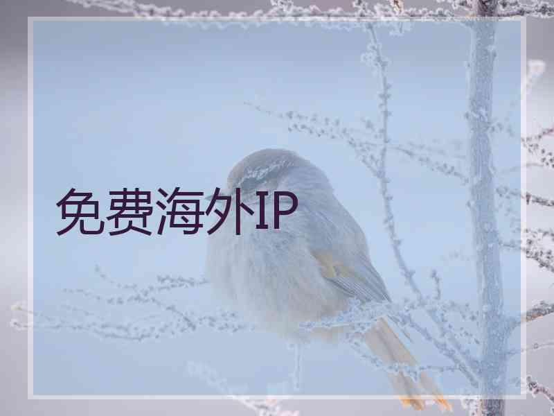 免费海外IP