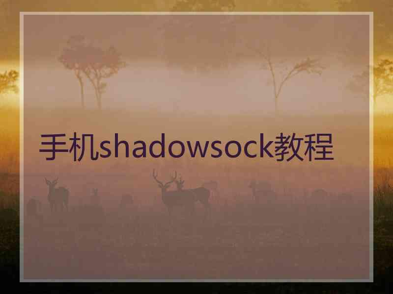 手机shadowsock教程