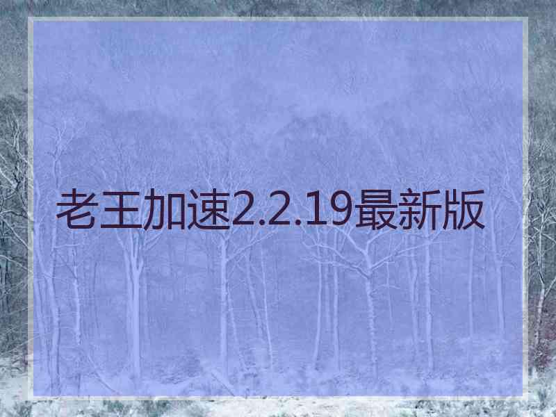 老王加速2.2.19最新版