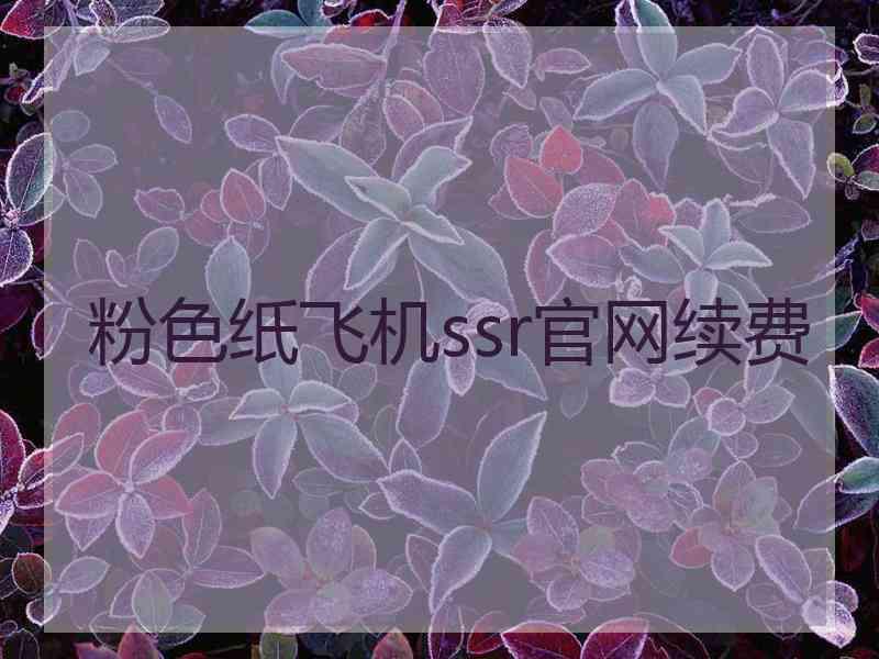 粉色纸飞机ssr官网续费