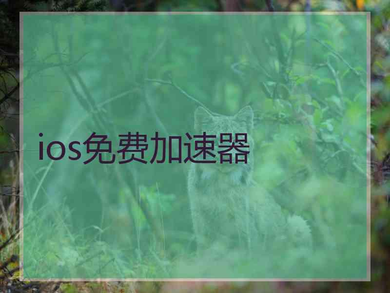 ios免费加速器