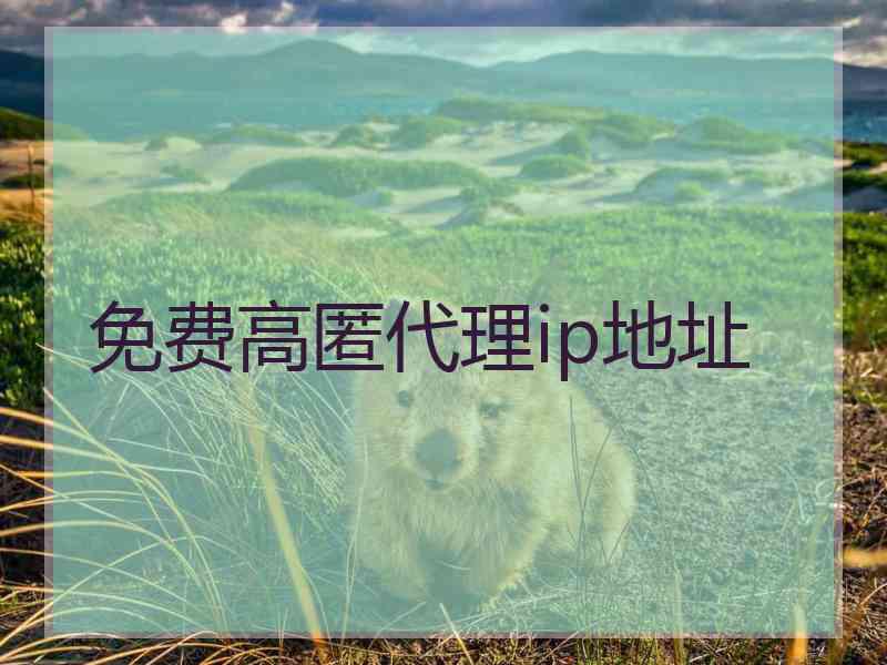 免费高匿代理ip地址