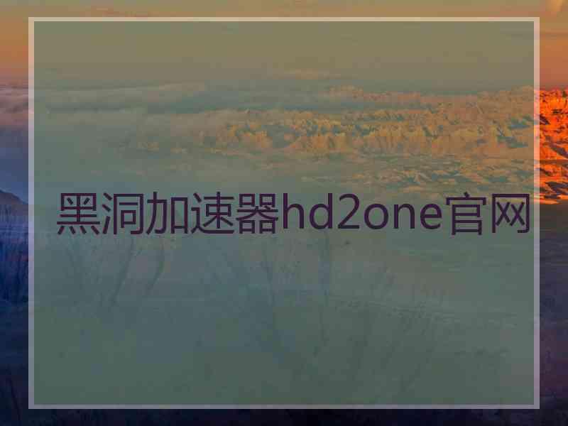 黑洞加速器hd2one官网