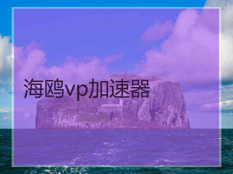 海鸥vp加速器