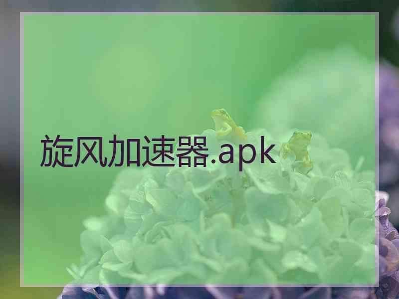 旋风加速器.apk