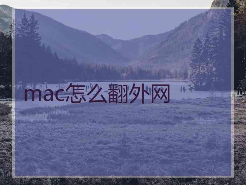 mac怎么翻外网