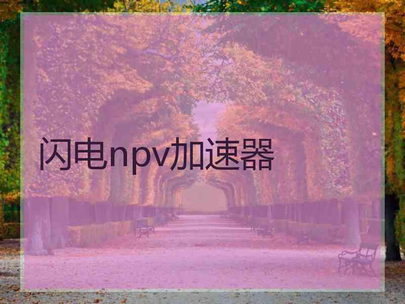 闪电npv加速器